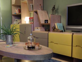 the coffee table and the bookcase that we designed specificaly for this space